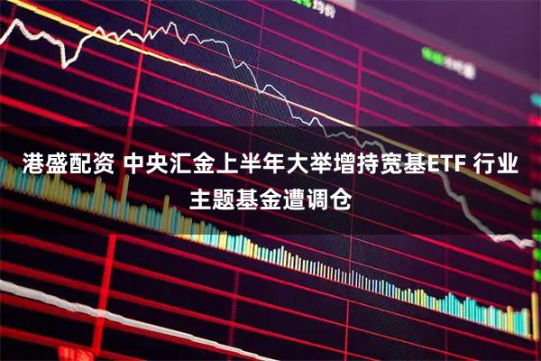 港盛配资 中央汇金上半年大举增持宽基ETF 行业主题基金遭调仓