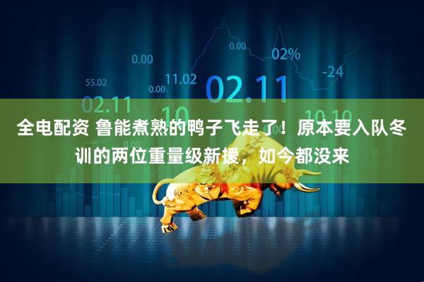 全电配资 鲁能煮熟的鸭子飞走了！原本要入队冬训的两位重量级新援，如今都没来